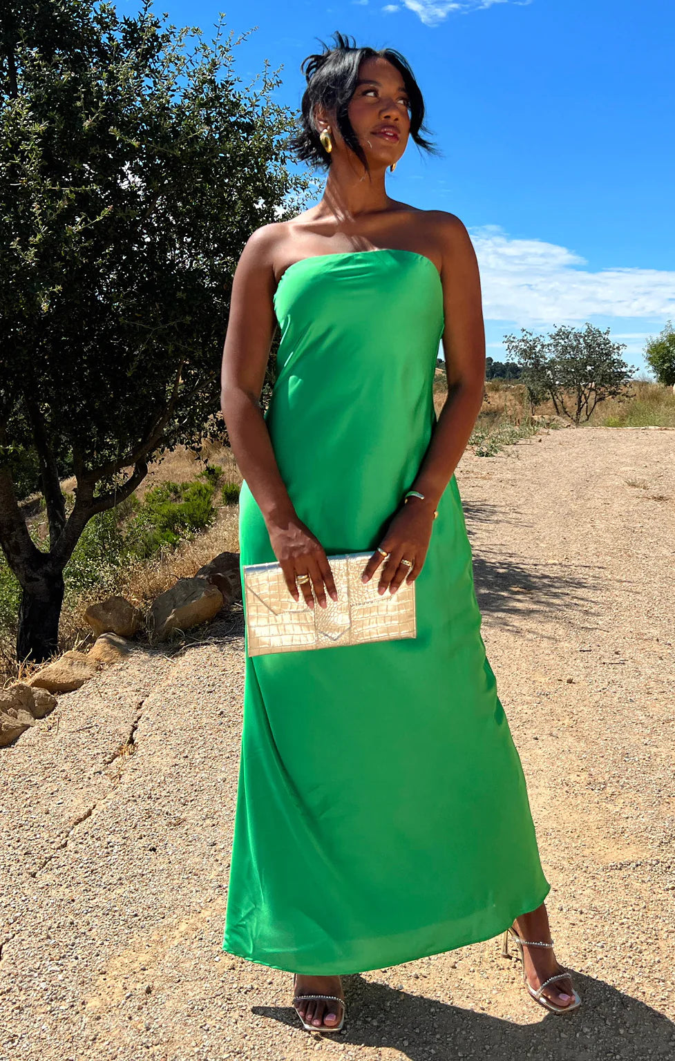 Taylor Tube Maxi Dress