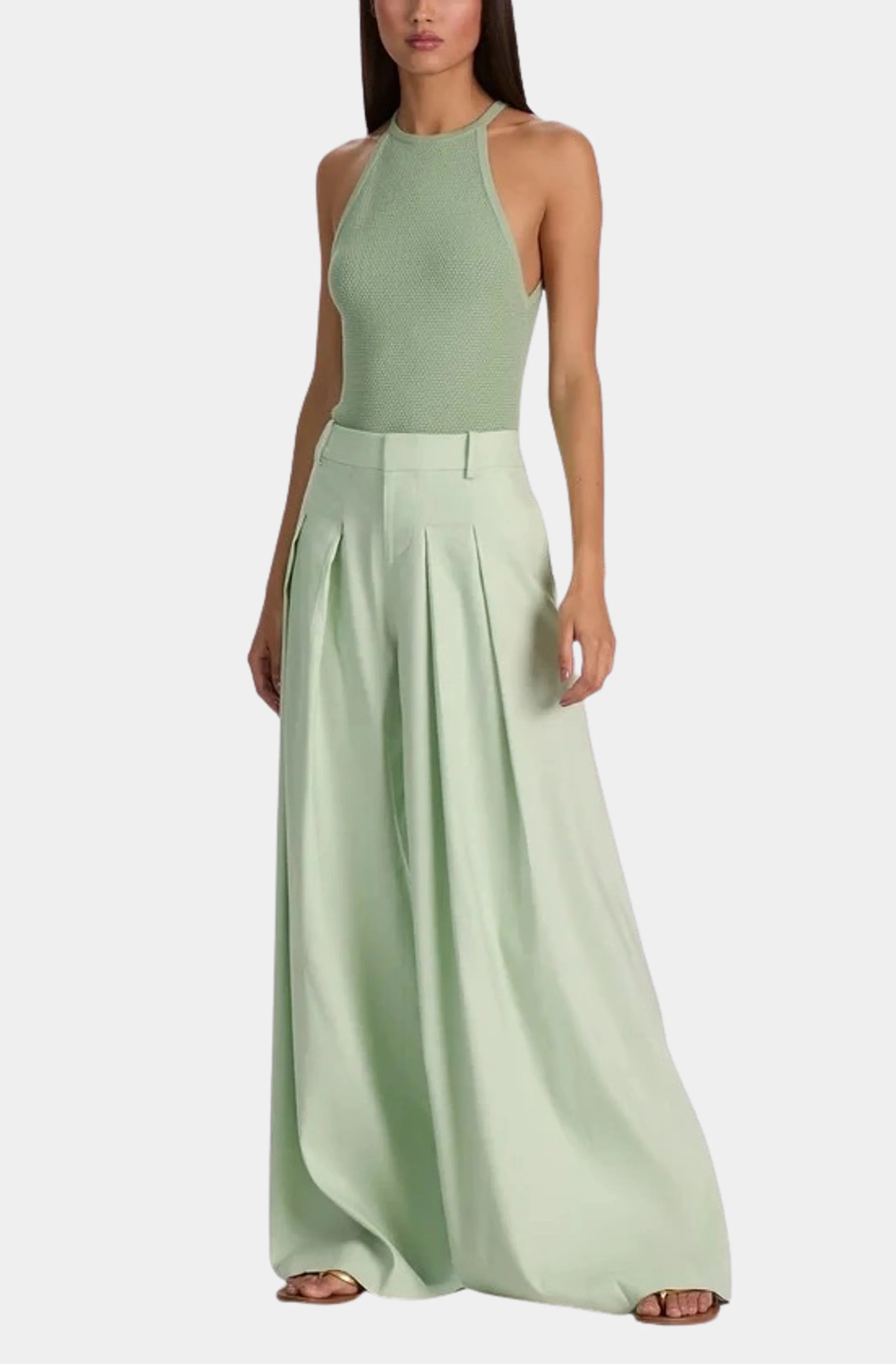 Blaire High Rise Pleat Pant